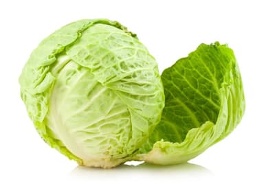 Cabbage Vizir F1