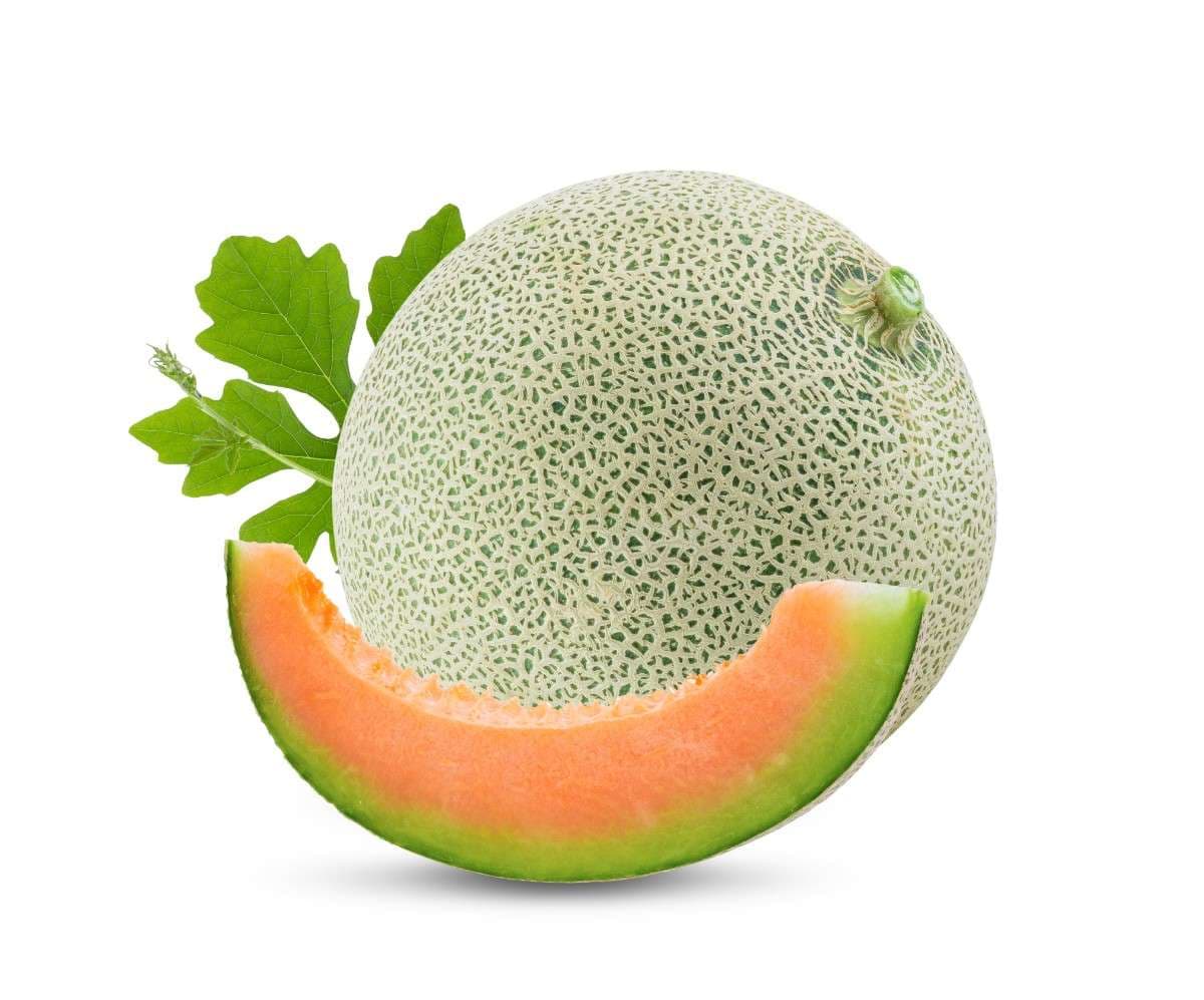 Melon Jino F1 Image 1