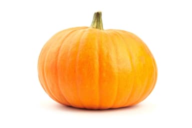 Pumpkin Gladiator F1