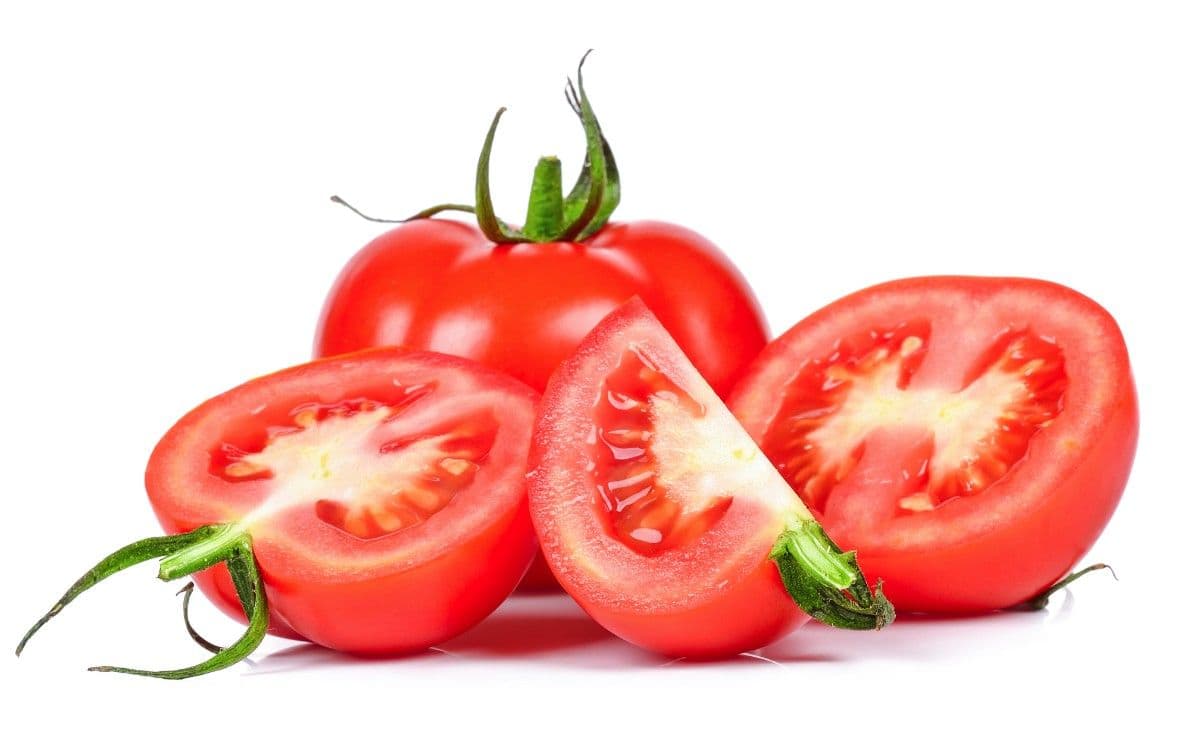 Tomato Jaguar+ F1 Image 1
