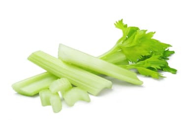 Elne Celery