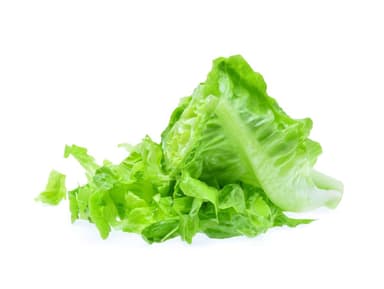 Lettuce