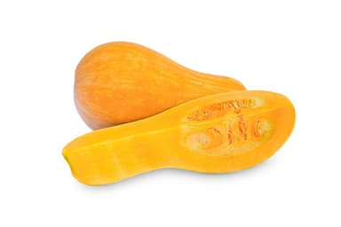 Squash