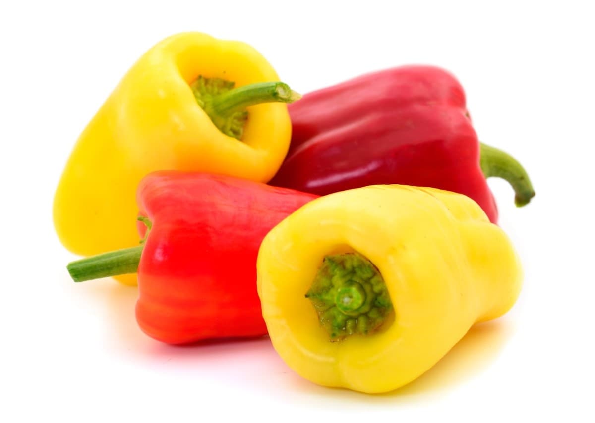 Sweet Pepper Image 1