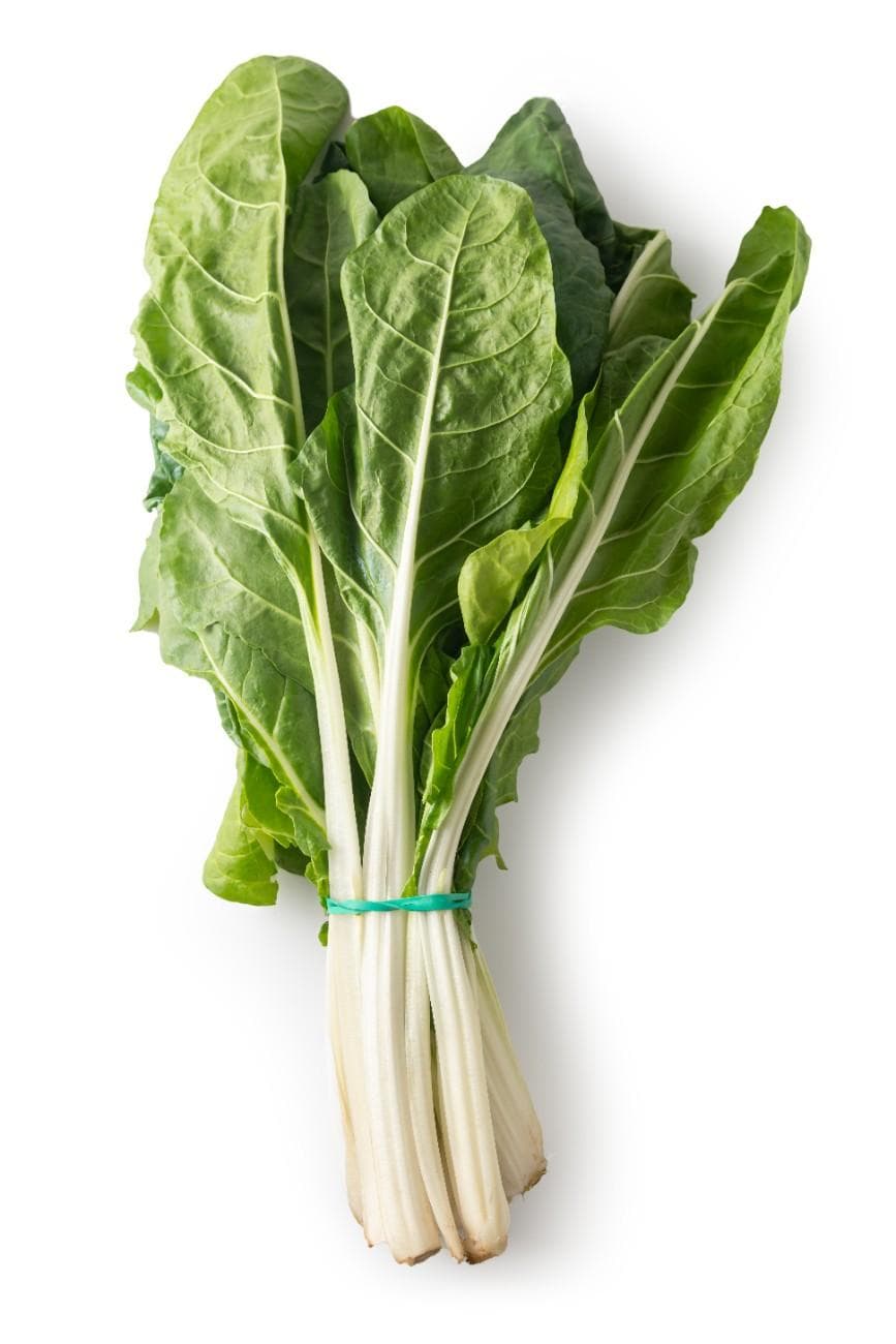 Swiss Chard Image 1
