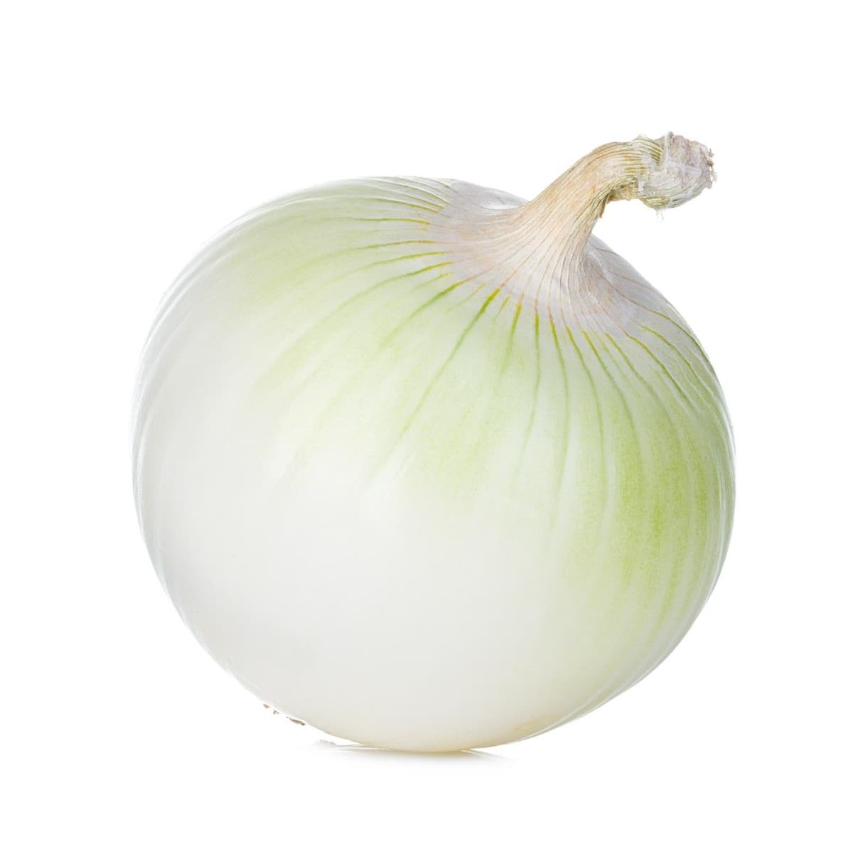 Onions Image 2
